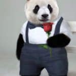 คุณหยก
